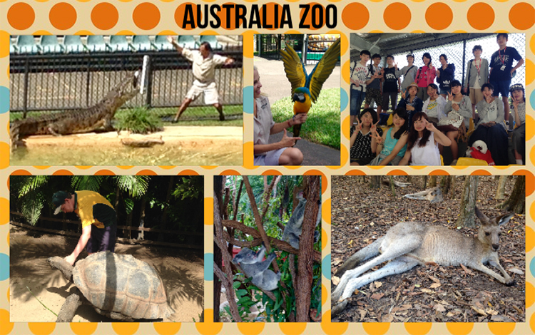 australia-zoo