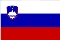 Flag from Slovenia