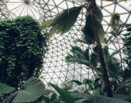 Brisbane - Tropical Dome at Brisbane Botanic Gardens, Mt Coot-tha